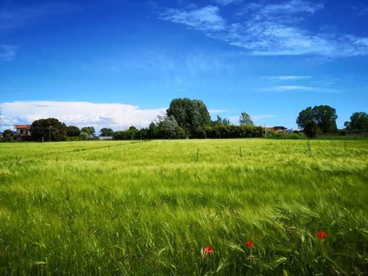 Flori'S Bed & Breakfast Viareggio Bagian luar foto